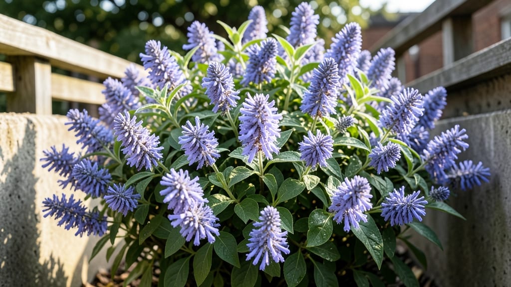 10 Flowering Shrubs That Bloom All Summer: Low-Maintenance Picks for Year-Round Color